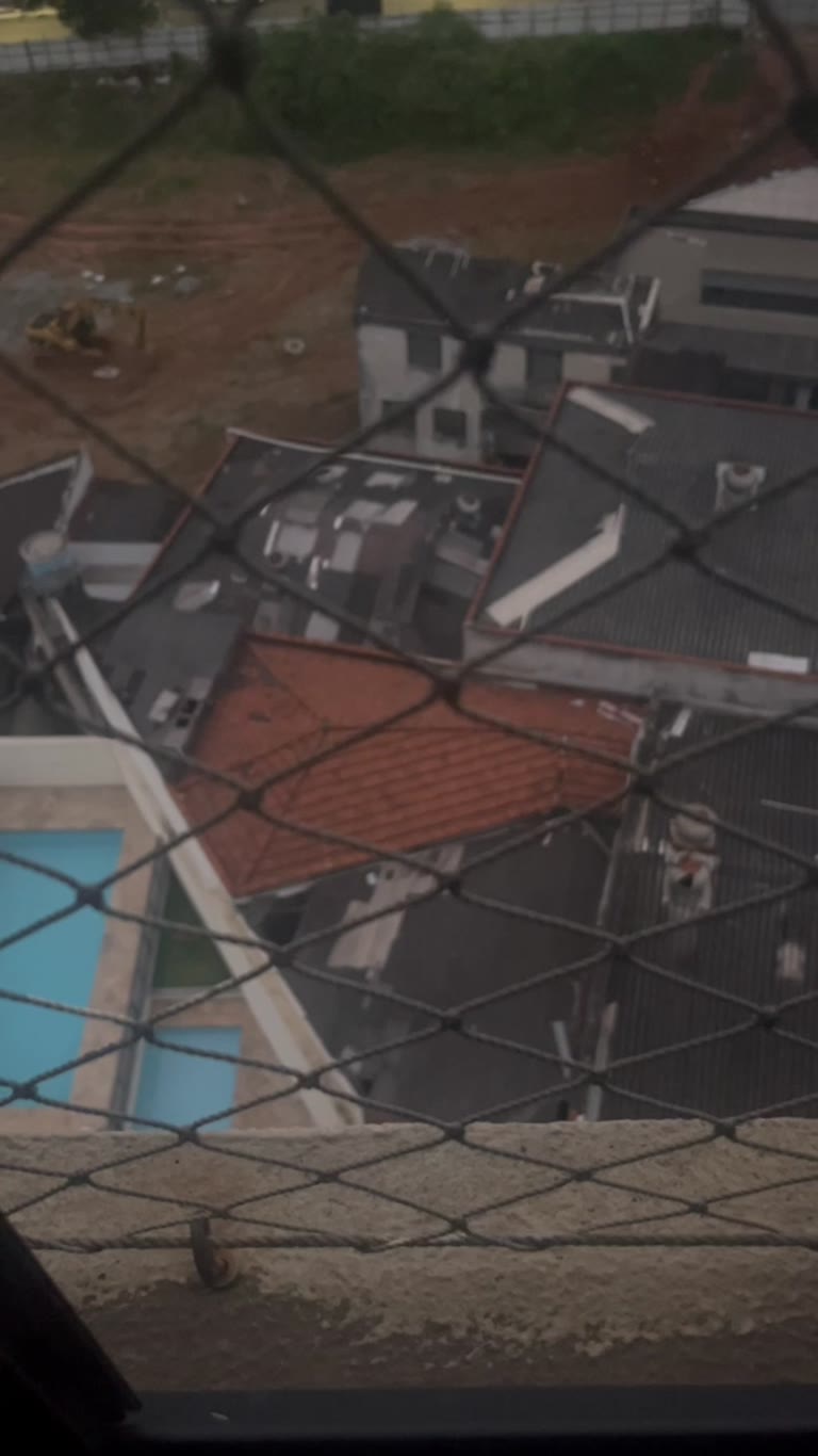 Vista dos telhados da Mooca de onde se escuta o canto do galo